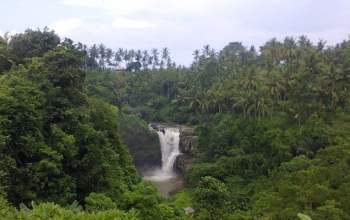 Ubud Tour